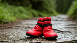 This Viral Waterproof Dog Booties Pack Is Elite
