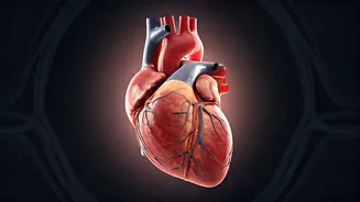 Holiday Heart Syndrome: What You Need to Know