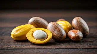 Jackfruit Seeds Can Star In Indian Dishes