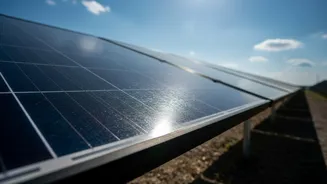 Squid Ink Melanin Advances: Bio-Synthetic Protective Film Developed For Large-Scale Solar Parks
