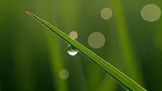 5 Daily Habits to Build Unshakeable Resilience and Inner Strength