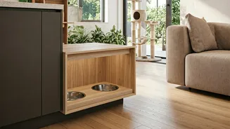 Pets Are Becoming Interior-Plan Priorities Now