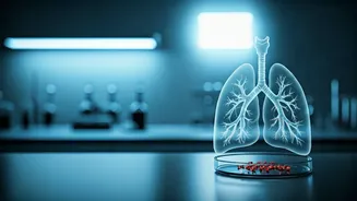 Hantavirus: Is It Airborne Like COVID-19? Unpacking the Suspected Third-Generation Case