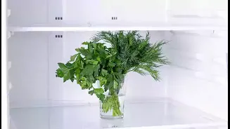 Jaborandi: The Ultimate Herb for Hair and Scalp Health