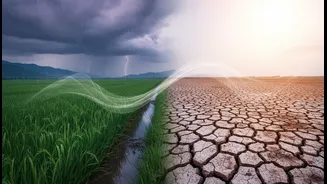 How Pacific Warming And Cooling Affect India