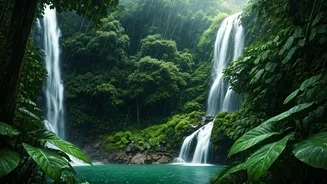Why Kerala Is Breathtakingly Beautiful During June Rain Cascades