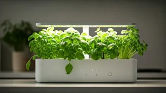 Smart Hydroponic Kits Help Renters Farm Kitchen Countertop Herbs