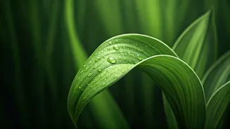 The Healthy Monsoon Habit Nutritionists Recommend