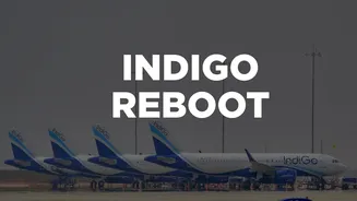 IndiGo Takes Off Again: Airline Restores 95% Network Connectivity - How Many Flights Will It Run Today?