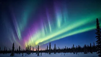 Chasing the Aurora: Your Guide to Predicting and Witnessing the Northern Lights