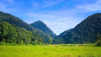 Inner Line Permits and eco homestay rules shape travel to Ziro Valley