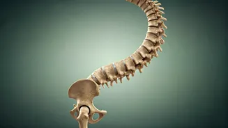 Shift To Proactive Health Management Using Functional Movement Patterns