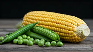 Related Stories banner