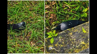 Related Stories banner