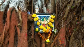 Vat Savitri Vrat 2026: Is It On 16th or 17th May? Know Correct Date, Shubh Muhurat And Significance