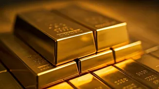 FPIs Invest Heavily in India's Primary Market