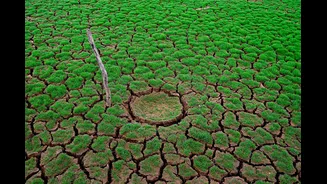 UN Warns El Nino Could Threaten Global Agriculture, Including India