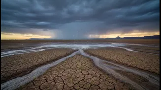 India's Monsoon And El Niño: Why Outcomes Can Differ