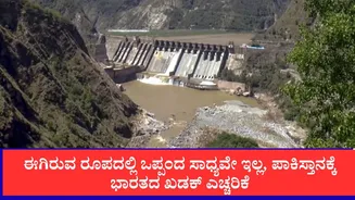 ಈಗಿರುವ ರೂಪದಲ್ಲಿ ಒಪ್ಪಂದ ಸಾಧ್ಯವೇ ಇಲ್ಲ, ಪಾಕಿಸ್ತಾನಕ್ಕೆ ಭಾರತದ ಖಡಕ್ ಎಚ್ಚರಿಕೆ, ಸಿಂಧೂ ಜಲ ಒಪ್ಪಂದದ ಬಗ್ಗೆ ಮತ್ತೆ ಕಠಿಣ ನಿಲುವು
