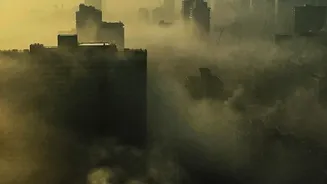 How Everyday City Conditions Could Affect Health