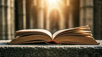 Mehrauli Reading Room: Where History and Literature Converge for a Unique Experience