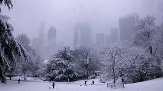 How Much Snow Did NYC Get From the Post-Christmas Storm?