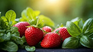 June Crops Are Making Gardening Feel Rewarding