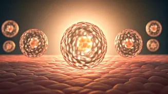 Beyond Skin Fasting: Restoring Your Damaged Skin Barrier Effectively