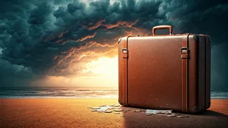 Travellers Are Comparing Weather, Prices And Demand