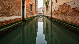 Venice: The Harsh Reality Unveiled