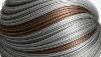 French Blending: Effortless Elegance for Embracing Your Natural Grays