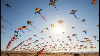 Tamil Nadu's International Kite Festival: What The Evidence Supports And What It Does Not