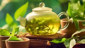 A Practical Guide to Garden Tea Party Hosting