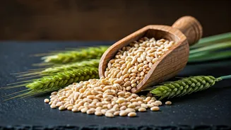 Icelandic Barley Snacks: A Wholesome & Delicious Journey of Taste and Health