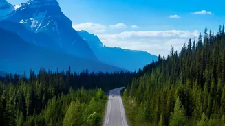 The Rise Of Road Trips Signals A Big Shift In India's Travel Choices