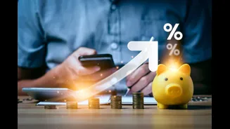 Planning SIPs? HDFC Securities Recommends These 10 Stocks For 2026