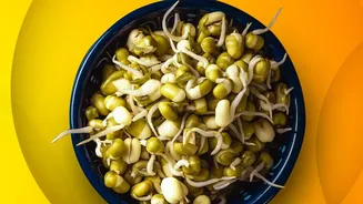 Smart Fitness Diets Leverage Sattu And Sprouted Chana For High Protein Fuel