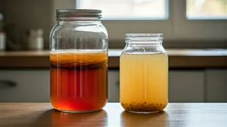 How Urban Homemakers Master Kombucha And Kanji Fermentation Routines