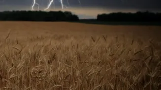 Why September Travellers Should Keep an Eye on Local Weather Warnings