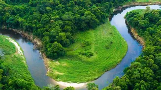 The Monsoon Is Transforming Assam Into A Must-Visit Nature Escape