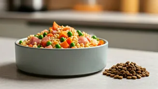 Is Kibble Out? Why Pet Parents Choose Custom Fresh Preps