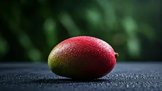 Odisha Farmer's Rs 3 Lakh Per Kg Mango Treasure: Security Fears Plague Rare Japanese Fruit