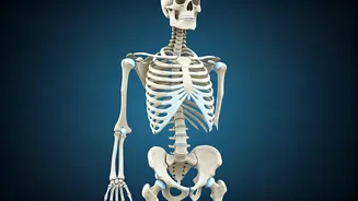 Bone and Joint Health Quiz: Test Your Knowledge!