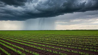 Why Good Rainfall Supports Better Harvests