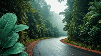 Monsoon Kerala Means Fewer Crowds, Better Prices