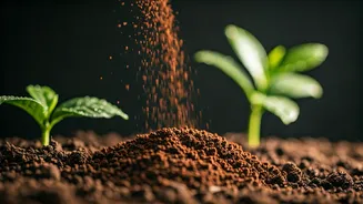 Unlock Your Garden's Potential: 5 Brilliant Ways to Use Coffee Grounds for Thriving Plants