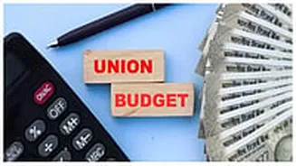 Union Budget 2026-27 Expected To Boost Growth Via Fiscal Support: EY Report