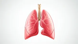 Boost Your Lungs: Simple Ways to Expand Capacity