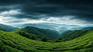Aizawl's Hills Shine During The Rainy Season