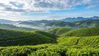September Getaways: Where In India Could Be More Comfortable If Rain Eases?